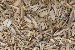 biomass boilers Ferniegair